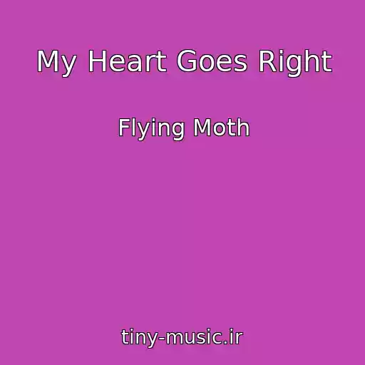 کاور آهنگ My Heart Goes Right از Flying Moth