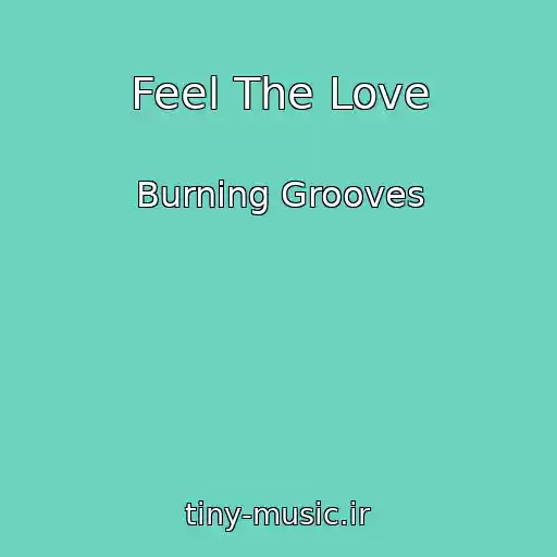 کاور آهنگ Feel The Love از Burning Grooves
