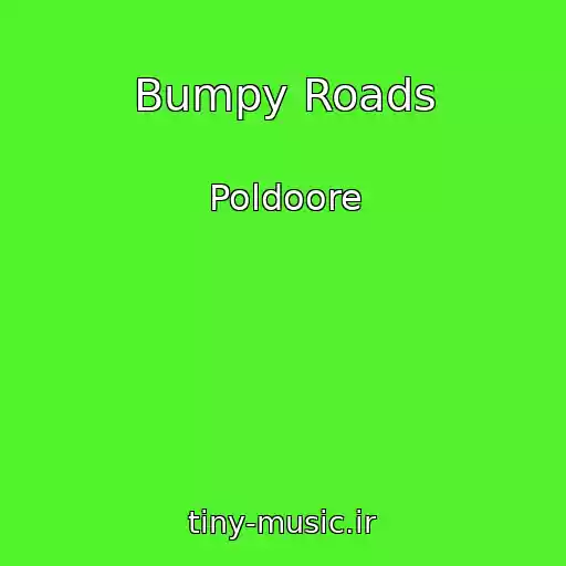 کاور آهنگ Bumpy Roads از Poldoore