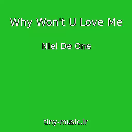 کاور آهنگ Why Won't U Love Me از Niel De One