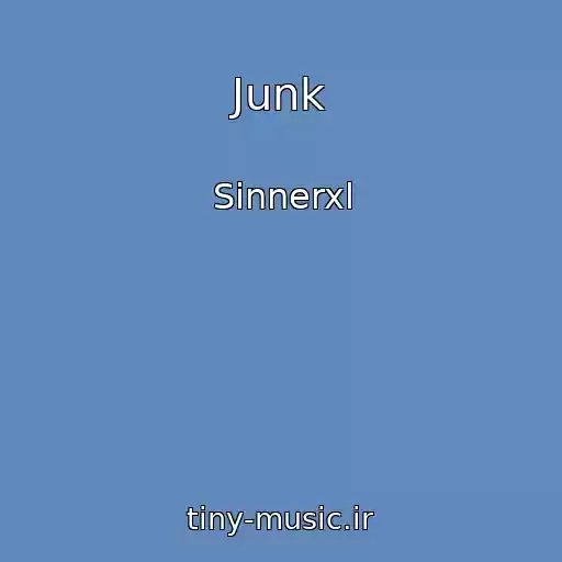 کاور آهنگ Junk از Sinnerxl