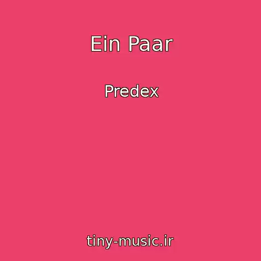 کاور آهنگ Ein Paar از Predex