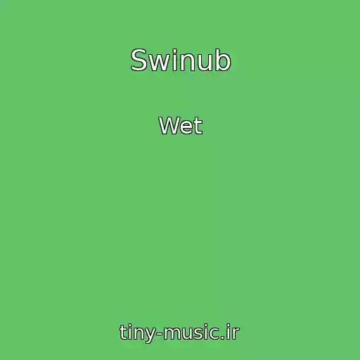 کاور آهنگ Swinub از Wet
