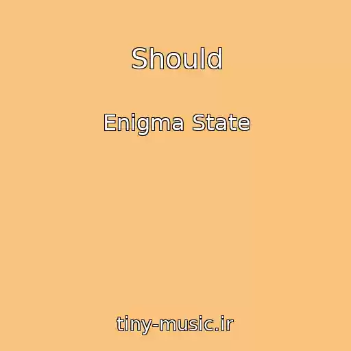 کاور آهنگ Should از Enigma State