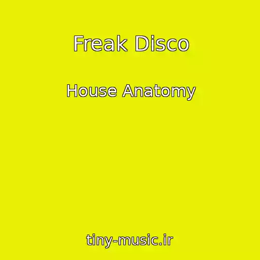 کاور آهنگ Freak Disco از House Anatomy