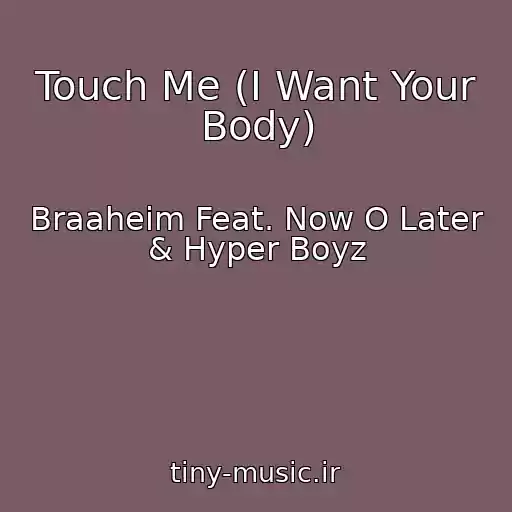 کاور آهنگ Touch Me (I Want Your Body) از Braaheim Feat. Now O Later & Hyper Boyz