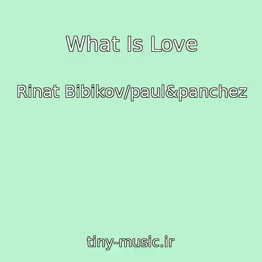 کاور آهنگ What Is Love از Rinat Bibikov/paul&panchez