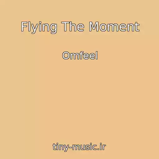 کاور آهنگ Flying The Moment از Omfeel