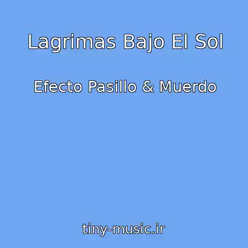 کاور آهنگ Lagrimas Bajo El Sol از Efecto Pasillo & Muerdo