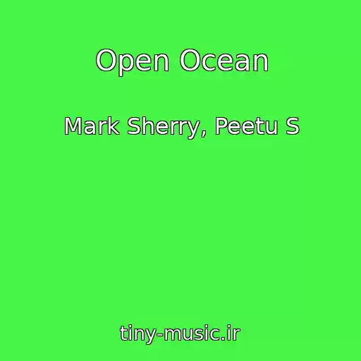 کاور آهنگ Open Ocean از Mark Sherry, Peetu S