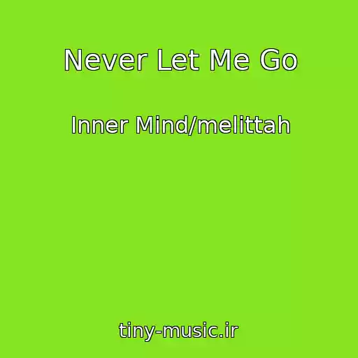 کاور آهنگ Never Let Me Go از Inner Mind/melittah