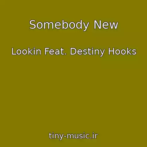 کاور آهنگ Somebody New از Lookin Feat. Destiny Hooks
