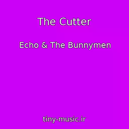 کاور آهنگ The Cutter از Echo & The Bunnymen