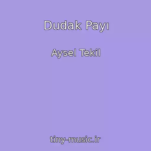 کاور آهنگ Dudak Payı از Aysel Tekil