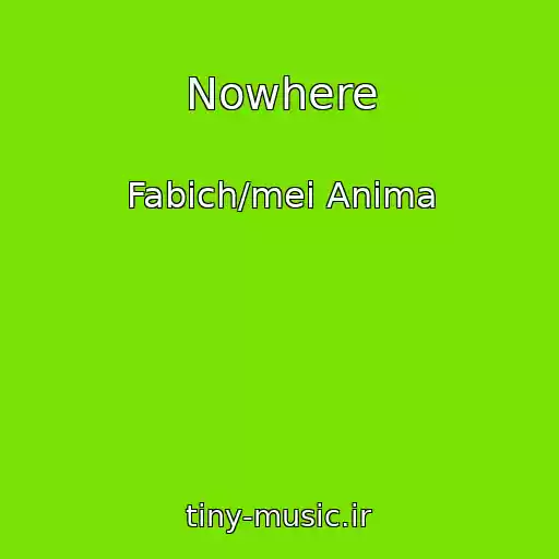 کاور آهنگ Nowhere از Fabich/mei Anima