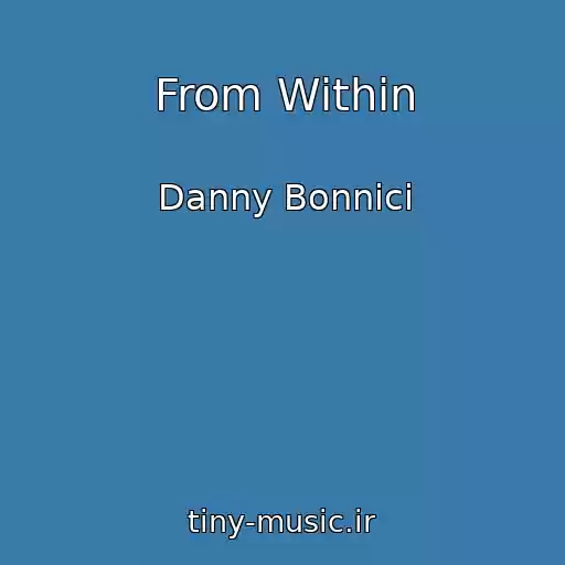 کاور آهنگ From Within از Danny Bonnici