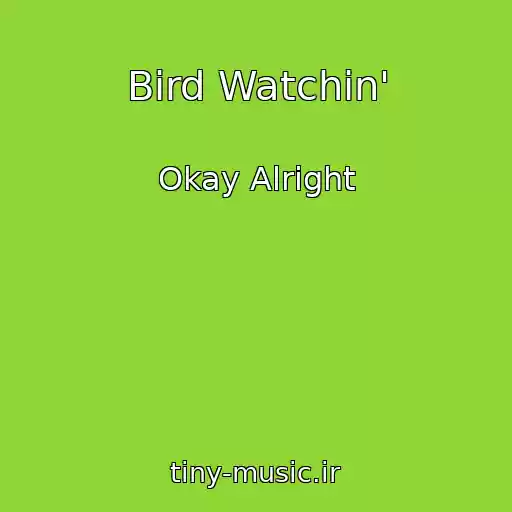 کاور آهنگ Bird Watchin' از Okay Alright