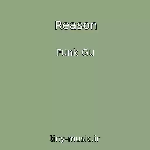 کاور آهنگ Reason از Funk Gu