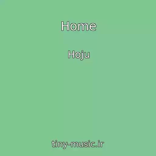کاور آهنگ Home از Hoju