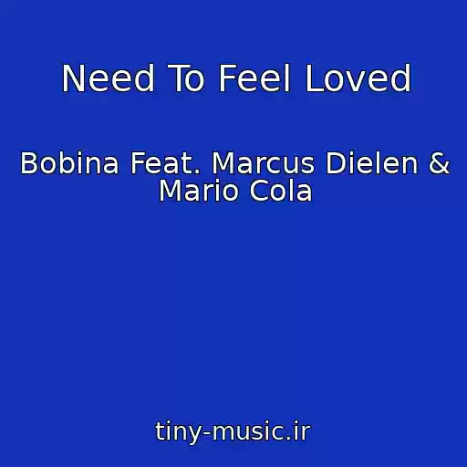 کاور آهنگ Need To Feel Loved از Bobina Feat. Marcus Dielen & Mario Cola
