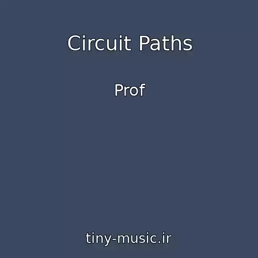 کاور آهنگ Circuit Paths از Prof
