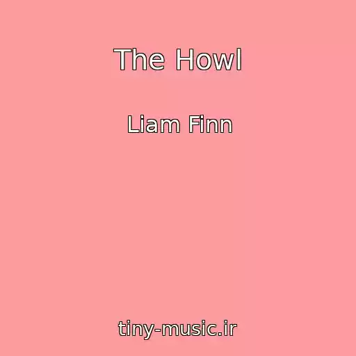 کاور آهنگ The Howl از Liam Finn