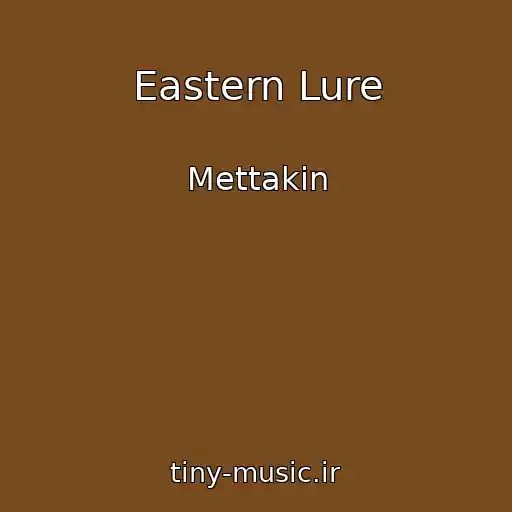 کاور آهنگ Eastern Lure از Mettakin