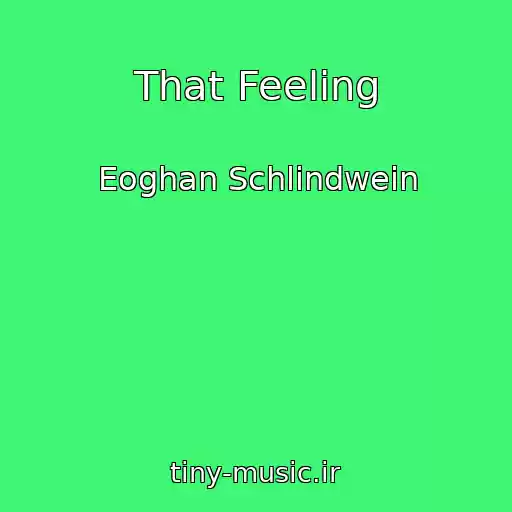 کاور آهنگ That Feeling از Eoghan Schlindwein