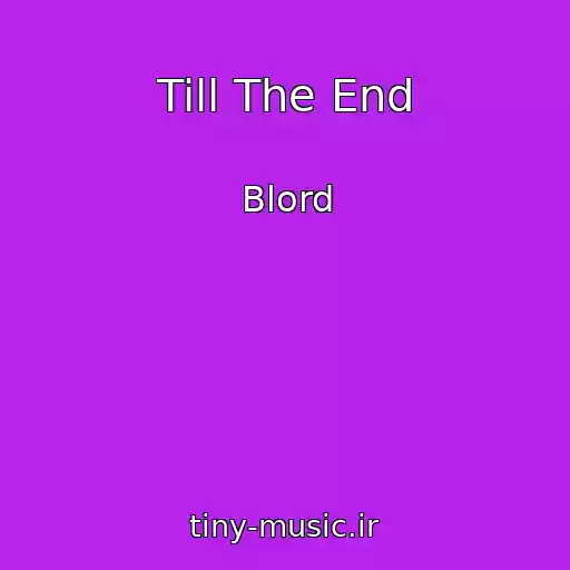 کاور آهنگ Till The End از Blord
