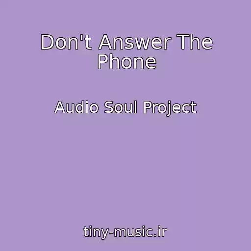 کاور آهنگ Don't Answer The Phone از Audio Soul Project