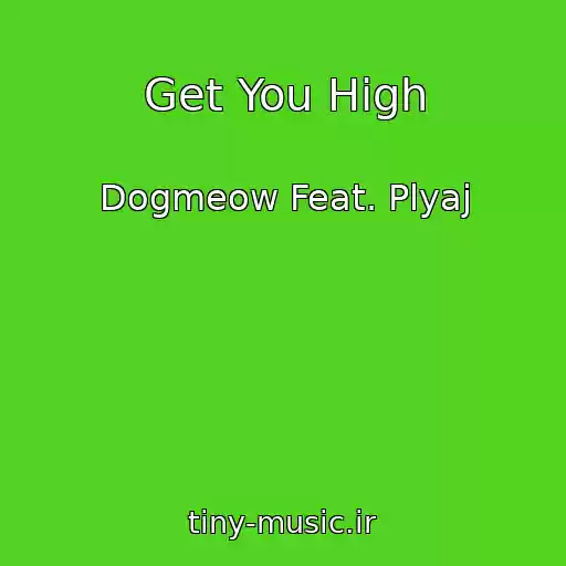 کاور آهنگ Get You High از Dogmeow Feat. Plyaj