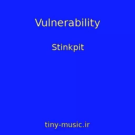 کاور آهنگ Vulnerability از Stinkpit