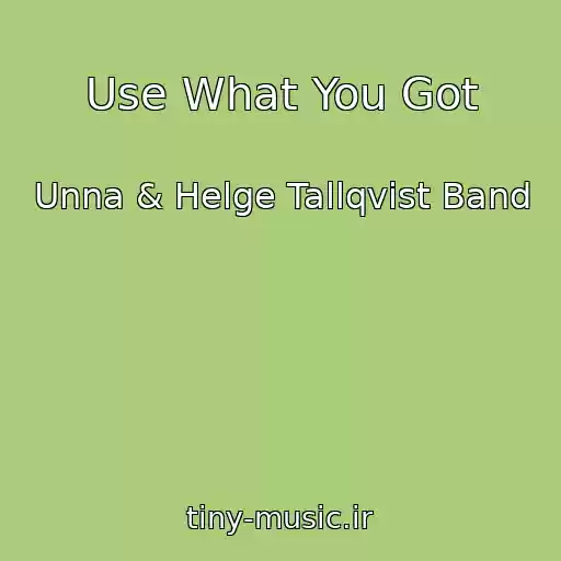 کاور آهنگ Use What You Got از Unna & Helge Tallqvist Band