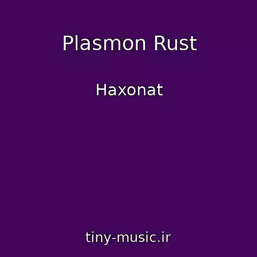 کاور آهنگ Plasmon Rust از Haxonat