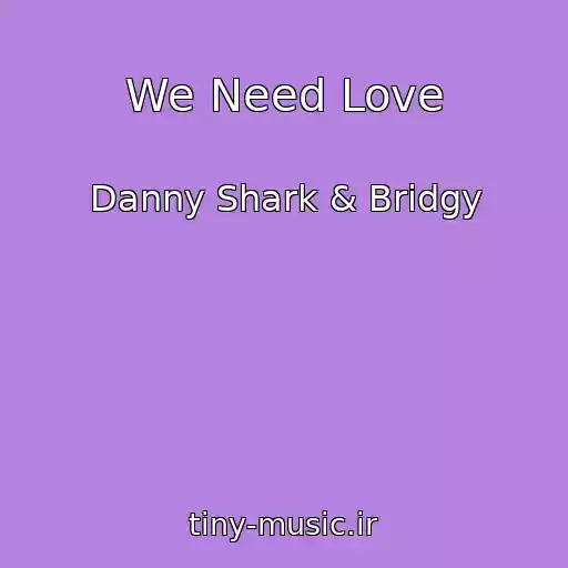 کاور آهنگ We Need Love از Danny Shark & Bridgy