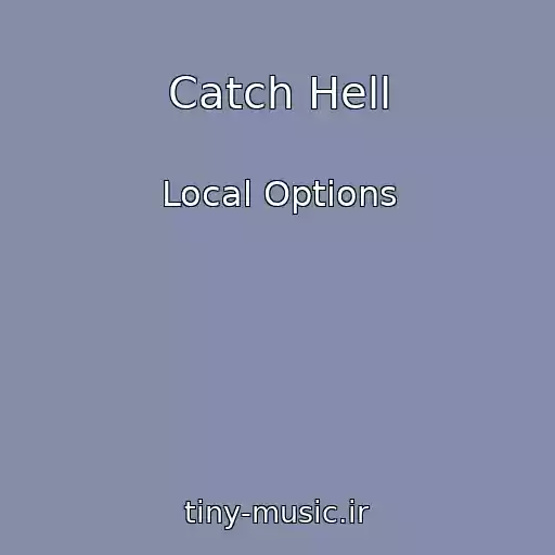 کاور آهنگ Catch Hell از Local Options