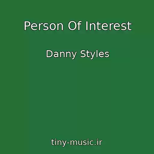 کاور آهنگ Person Of Interest از Danny Styles