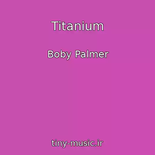 کاور آهنگ Titanium از Boby Palmer