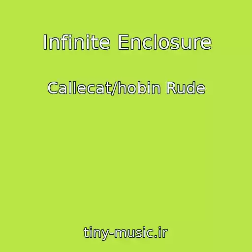 کاور آهنگ Infinite Enclosure از Callecat/hobin Rude