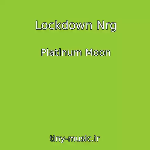 کاور آهنگ Lockdown Nrg از Platinum Moon