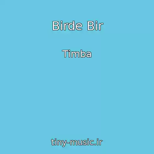 کاور آهنگ Birde Bir از Timba