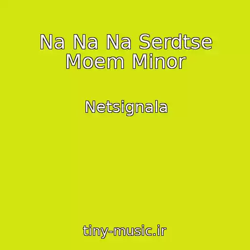 کاور آهنگ Na Na Na Serdtse Moem Minor از Netsignala
