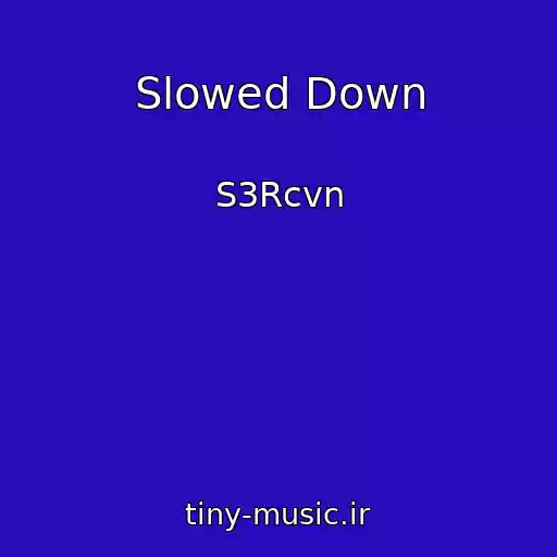 کاور آهنگ Slowed Down از S3Rcvn