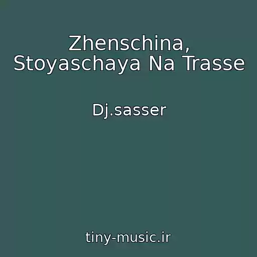 کاور آهنگ Zhenschina, Stoyaschaya Na Trasse از Dj.sasser