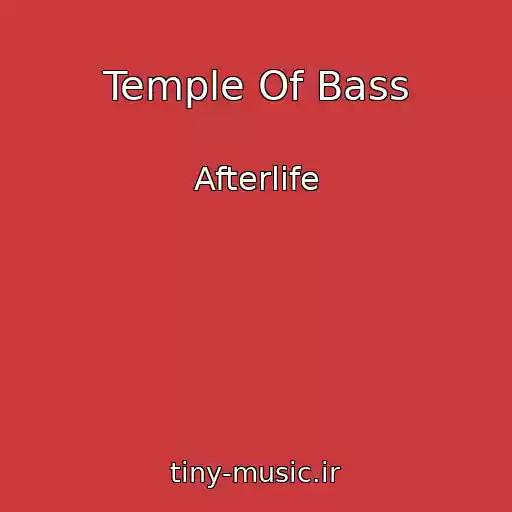 کاور آهنگ Temple Of Bass از Afterlife