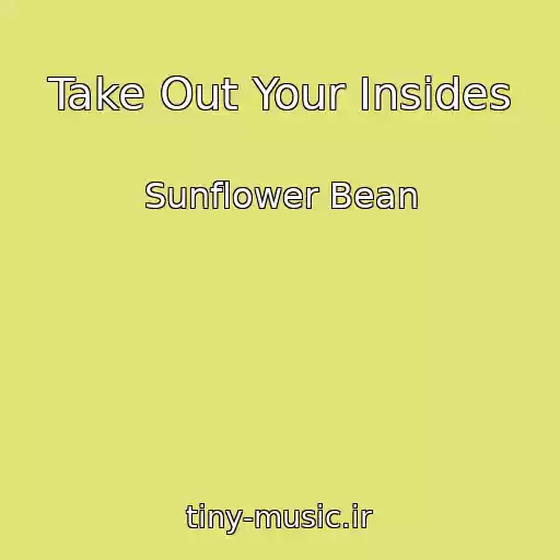 کاور آهنگ Take Out Your Insides از Sunflower Bean