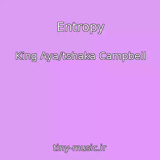 کاور آهنگ Entropy از King Aya/tshaka Campbell