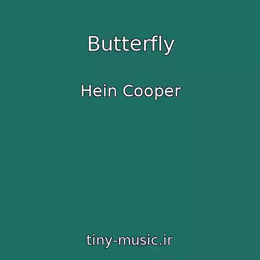 کاور آهنگ Butterfly از Hein Cooper