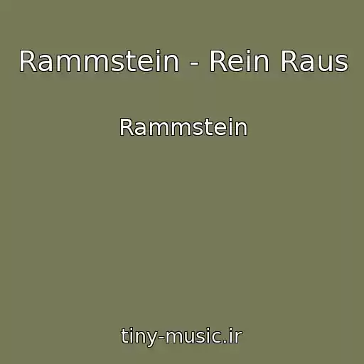 کاور آهنگ Rammstein - Rein Raus از Rammstein