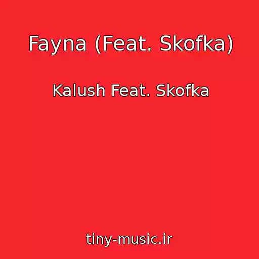 کاور آهنگ Fayna (Feat. Skofka) از Kalush Feat. Skofka